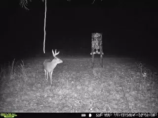 2 E 4130 Rd, Eufaula, OK 74432 photo 35