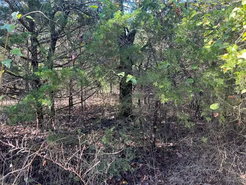 0 Lodgeview Rd, Eufaula, OK 74432 photo 7