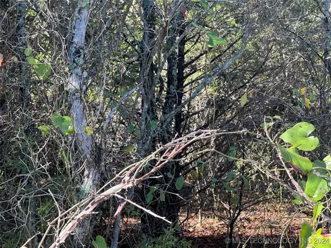 0 Lodgeview Rd, Eufaula, OK 74432 photo 9