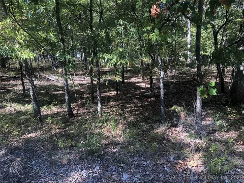 E 703 Road, Wagoner, OK 74467 photo 6