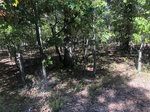 E 703 Road, Wagoner, OK 74467 photo 4