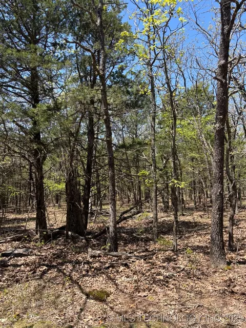 N Coyote Road, Mcalester, OK 74501