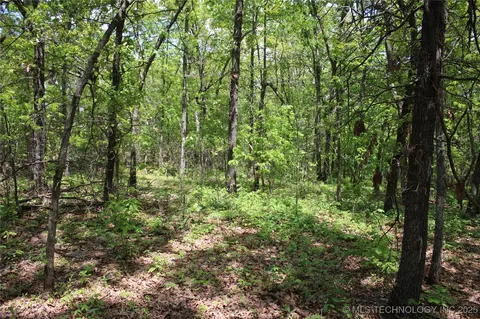 0000 E 480 Rd, Jay, OK 74346 photo 24