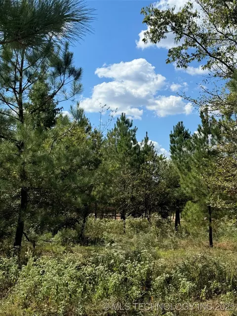 86 Hidden Pines Loop, Broken Bow, OK 74728 photo 1