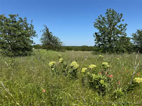 2668 Buck Horn Rd, Healdton, OK 73438