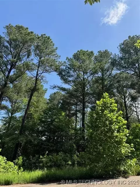 29 Cypress, Broken Bow, OK 74728 photo 1