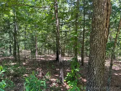 S 4409, Locust Grove, OK 74352