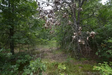 4 Darcy Dr, Vian, OK 74962