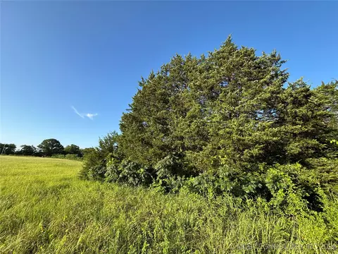 Deer Trail, Hendrix, OK 74741 photo 7