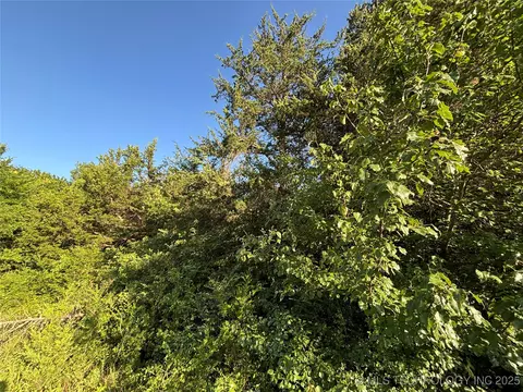 Deer Trail, Hendrix, OK 74741 photo 6