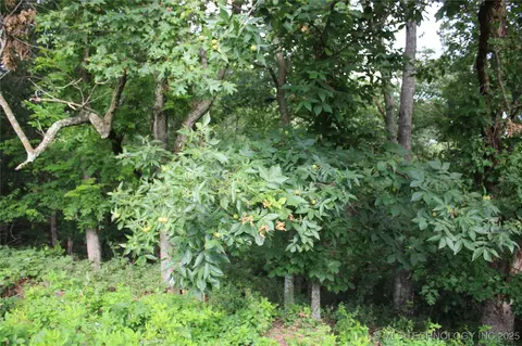 0000 570 Rd, Jay, OK 74346 photo 38