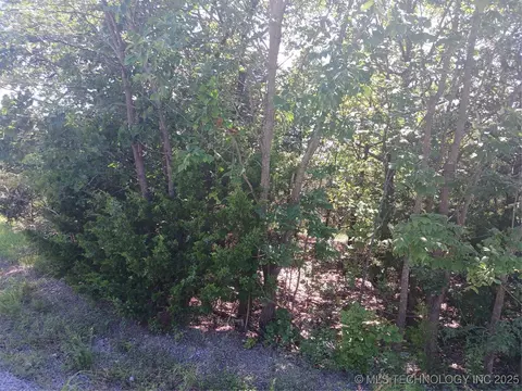 Dozer Bend, Eufaula, OK 74432 photo 2