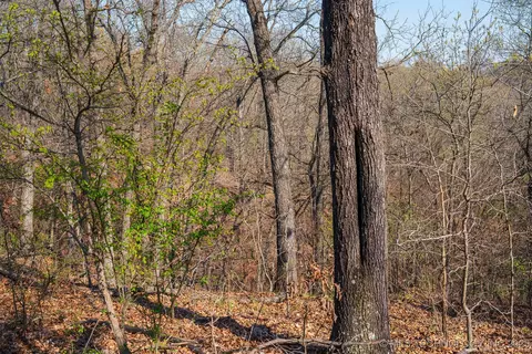 15 S 4530 Rd, Eucha, OK 74342 photo 88