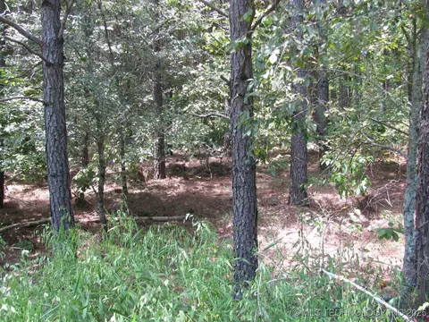 22 Private Rd, Nashoba, OK 74558