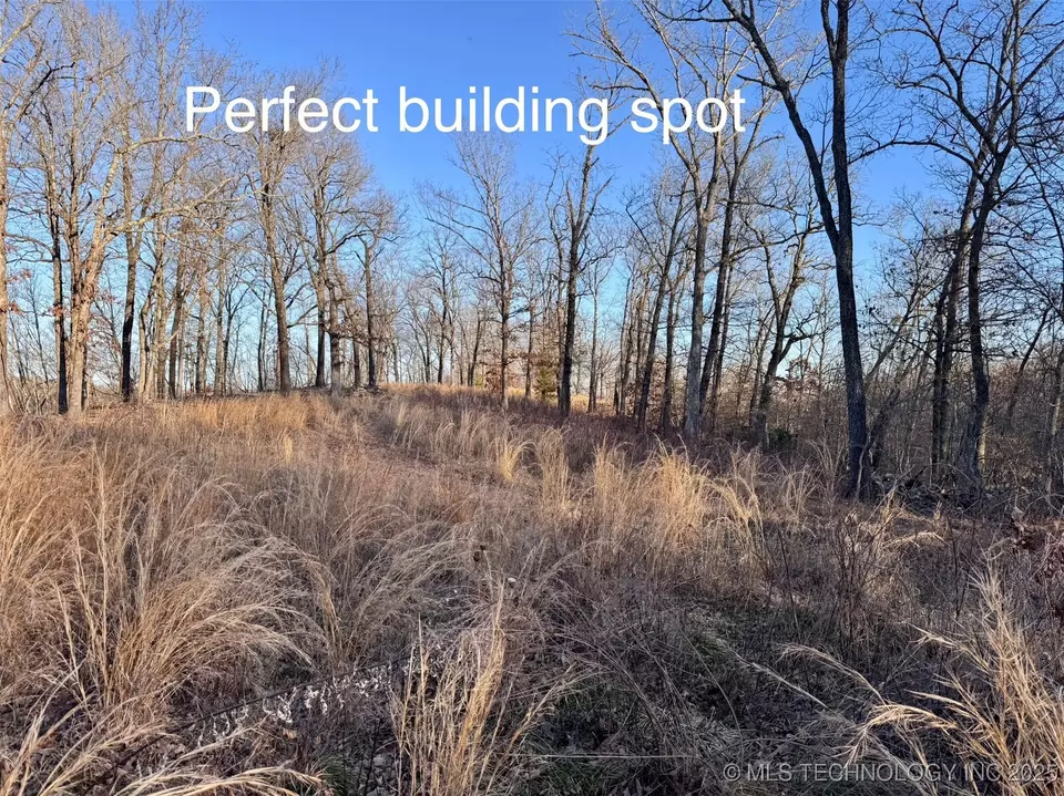  4395 N Oaks Rd, Tahlequah, OK 74464 photo 3