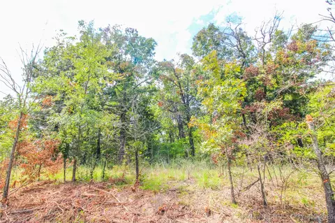 22 Belle Starr, Eufaula, OK 74432 photo 5