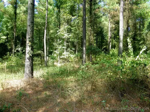 901 Sycamore Loop, Broken Bow, OK 74728 photo 57