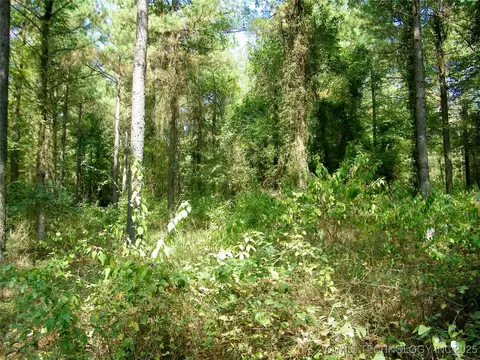 901 Sycamore Loop, Broken Bow, OK 74728 photo 58