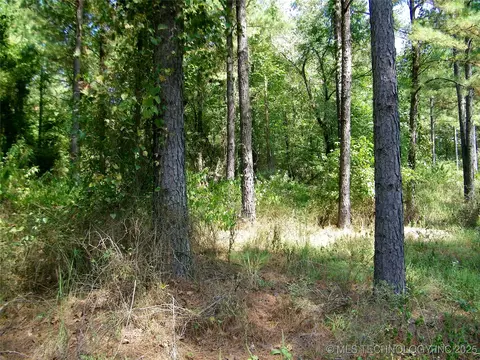 901 Sycamore Loop, Broken Bow, OK 74728 photo 56
