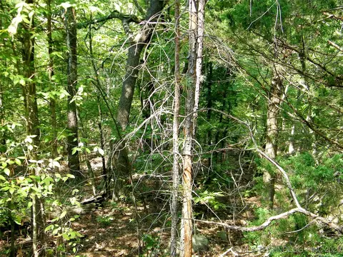 901 Sycamore Loop, Broken Bow, OK 74728 photo 84