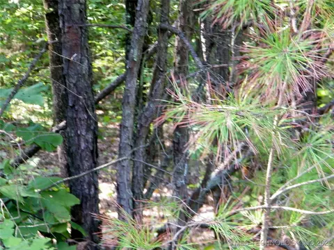 901 Sycamore Loop, Broken Bow, OK 74728 photo 77