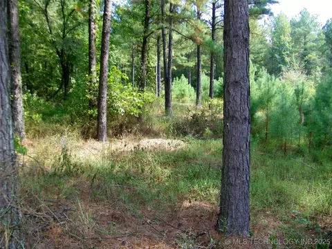 901 Sycamore Loop, Broken Bow, OK 74728 photo 60