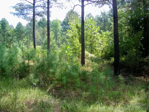 901 Sycamore Loop, Broken Bow, OK 74728 photo 59