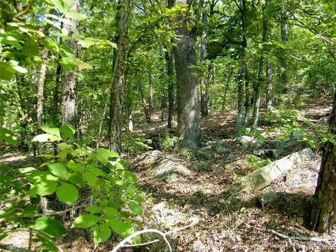901 Sycamore Loop, Broken Bow, OK 74728 photo 71