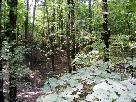 901 Sycamore Loop, Broken Bow, OK 74728 photo 66