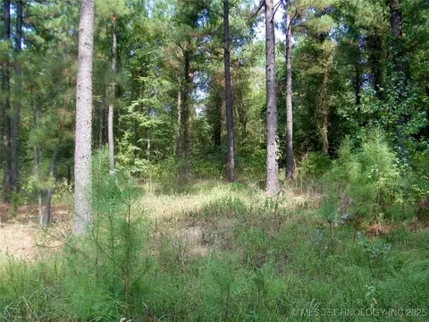 901 Sycamore Loop, Broken Bow, OK 74728 photo 53