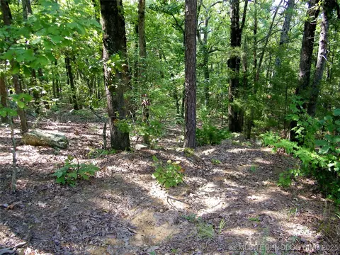 901 Sycamore Loop, Broken Bow, OK 74728 photo 72