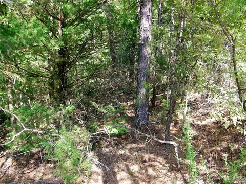 901 Sycamore Loop, Broken Bow, OK 74728 photo 86
