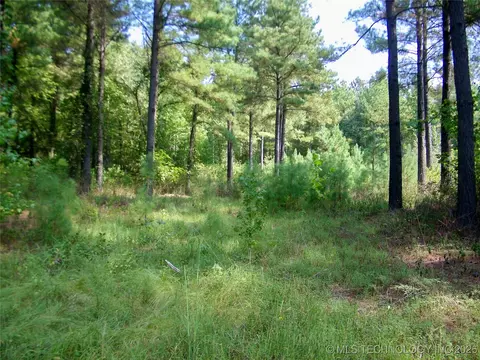 901 Sycamore Loop, Broken Bow, OK 74728 photo 54