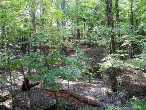 901 Sycamore Loop, Broken Bow, OK 74728 photo 62