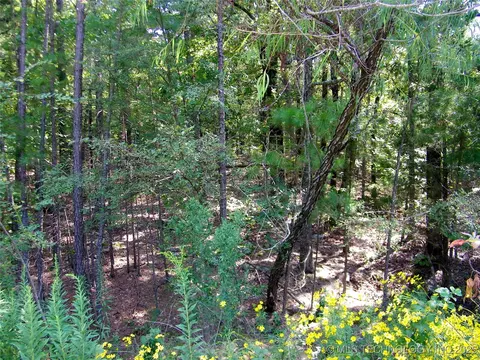 901 Sycamore Loop, Broken Bow, OK 74728 photo 90