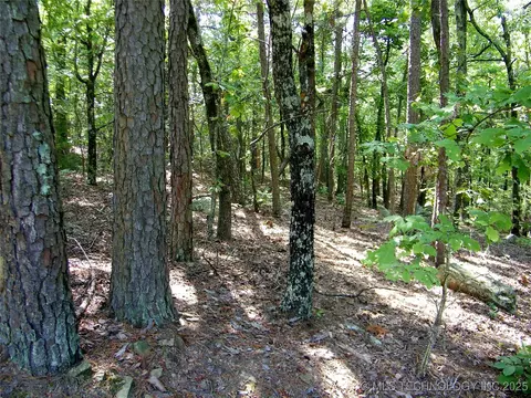 901 Sycamore Loop, Broken Bow, OK 74728 photo 73