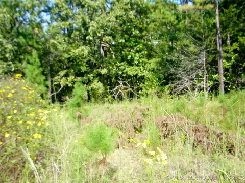 901 Sycamore Loop, Broken Bow, OK 74728 photo 74