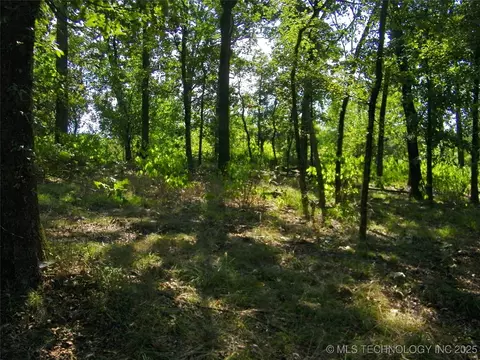 901 Sycamore Loop, Broken Bow, OK 74728 photo 49