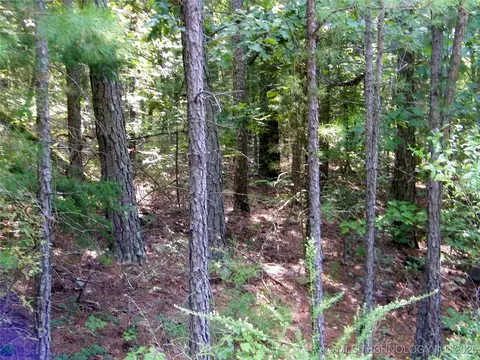 901 Sycamore Loop, Broken Bow, OK 74728 photo 82