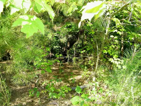 901 Sycamore Loop, Broken Bow, OK 74728 photo 91