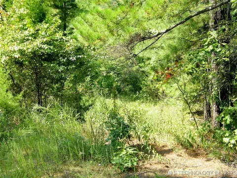 901 Sycamore Loop, Broken Bow, OK 74728 photo 79