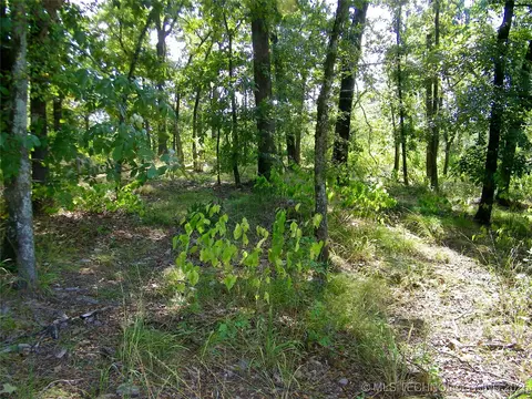 901 Sycamore Loop, Broken Bow, OK 74728 photo 47