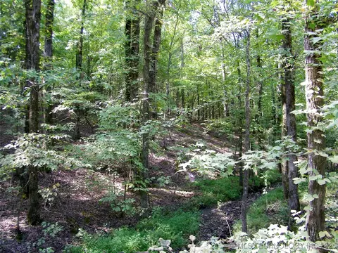 901 Sycamore Loop, Broken Bow, OK 74728 photo 63