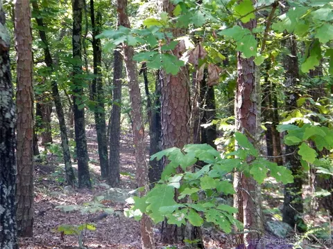 901 Sycamore Loop, Broken Bow, OK 74728 photo 76