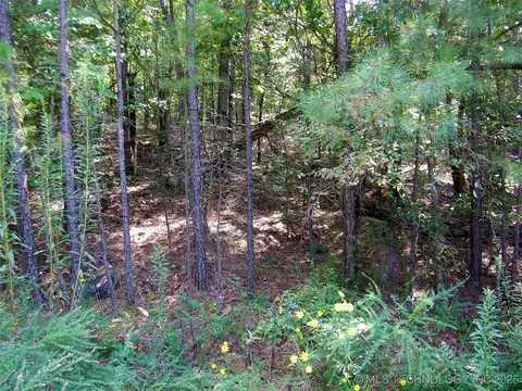 901 Sycamore Loop, Broken Bow, OK 74728 photo 87