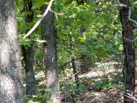 901 Sycamore Loop, Broken Bow, OK 74728 photo 78