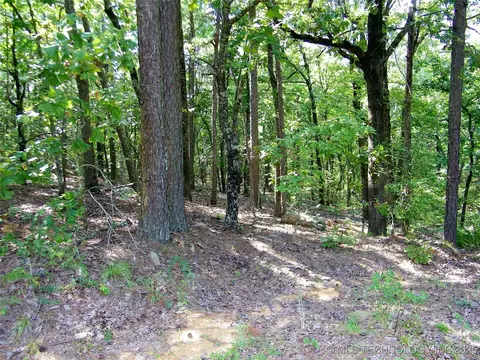 901 Sycamore Loop, Broken Bow, OK 74728 photo 75