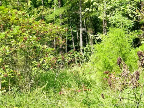 901 Sycamore Loop, Broken Bow, OK 74728 photo 81