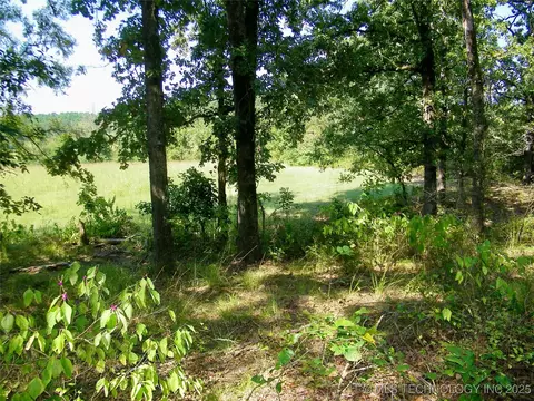 901 Sycamore Loop, Broken Bow, OK 74728 photo 43