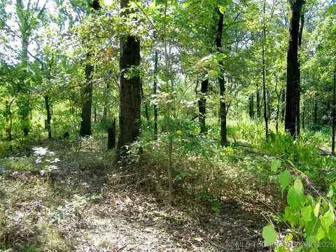 901 Sycamore Loop, Broken Bow, OK 74728 photo 41